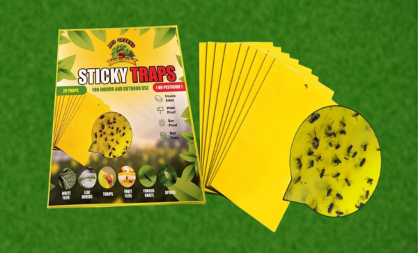 STICKY TRAPS