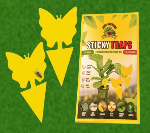 STICKY TRAPS